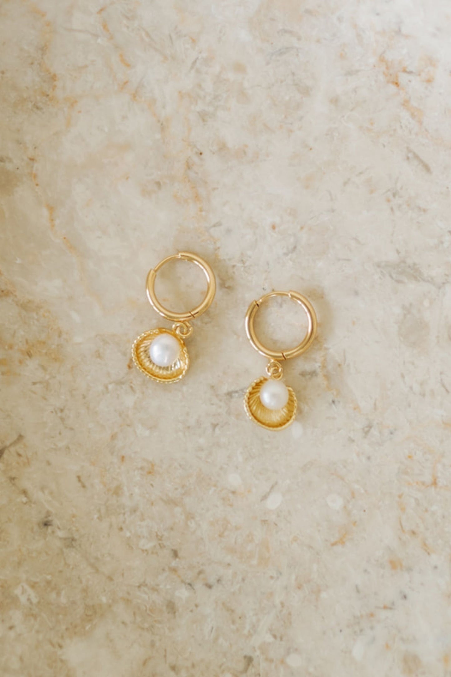 Gilded Oyster Huggie Earrings