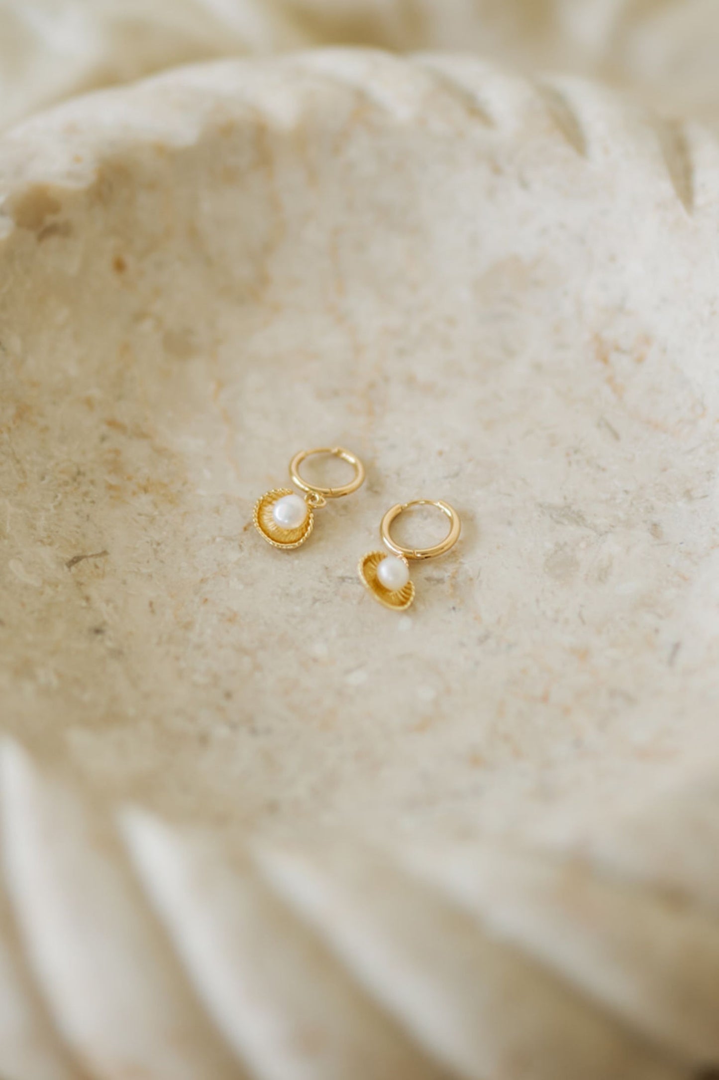 Gilded Oyster Huggie Earrings