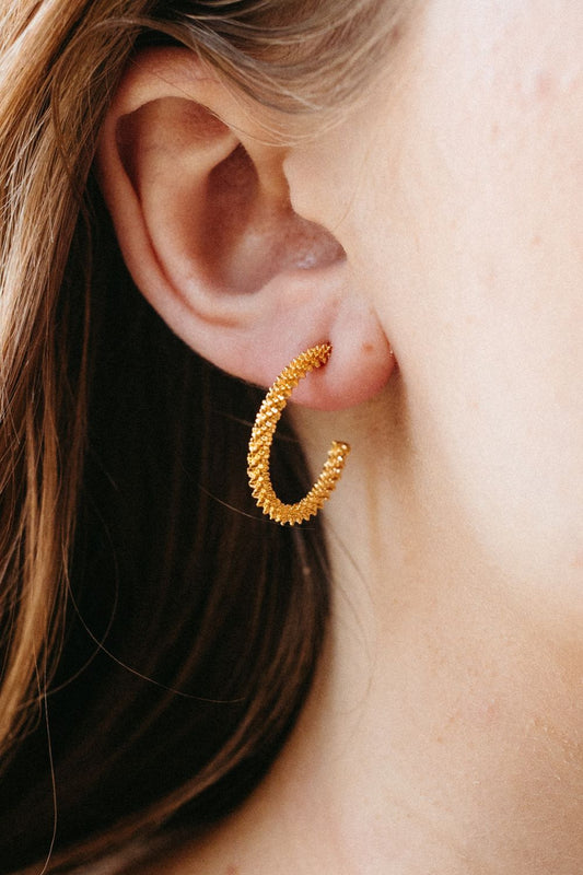 Gold Texture Hoops