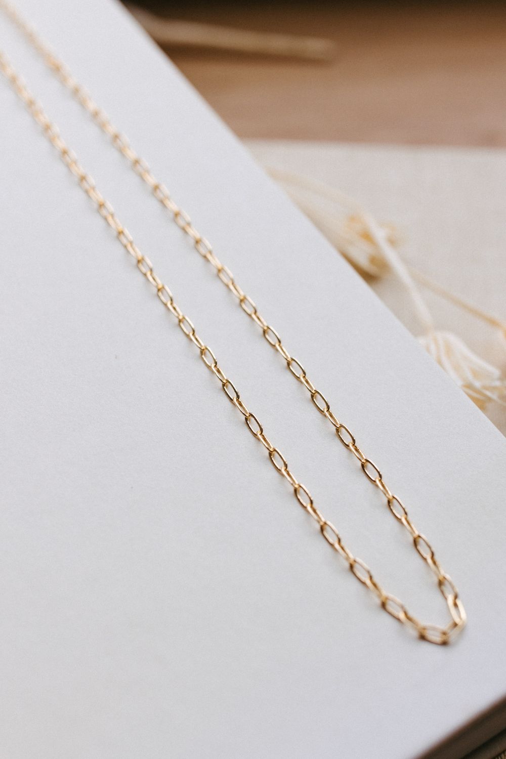 Gold Dainty Chain Necklace