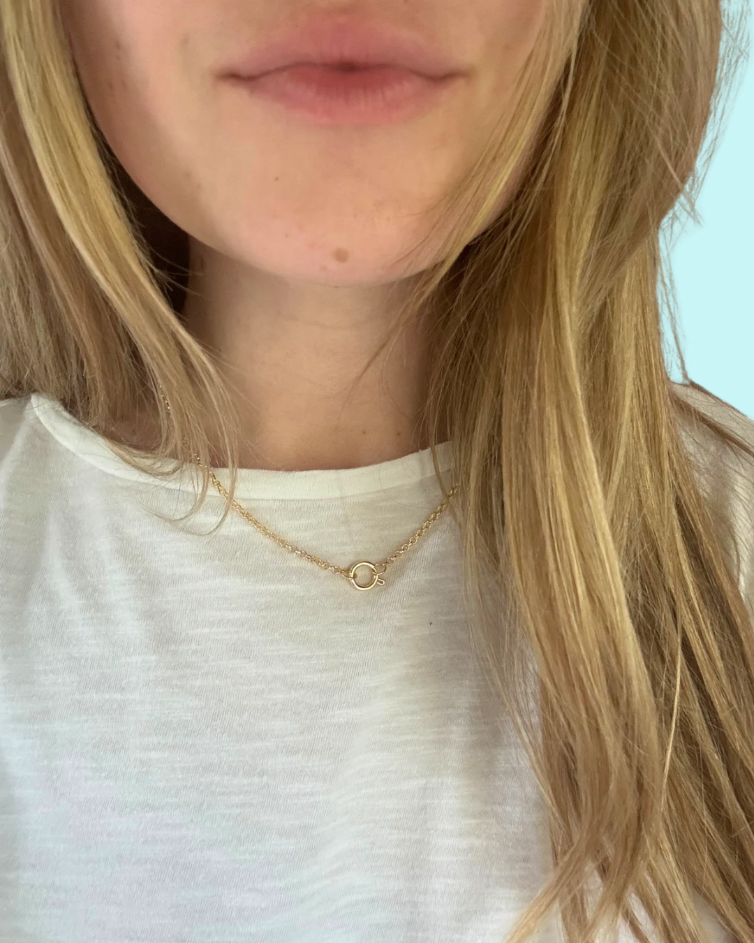 Gold Circle Clasp Necklace