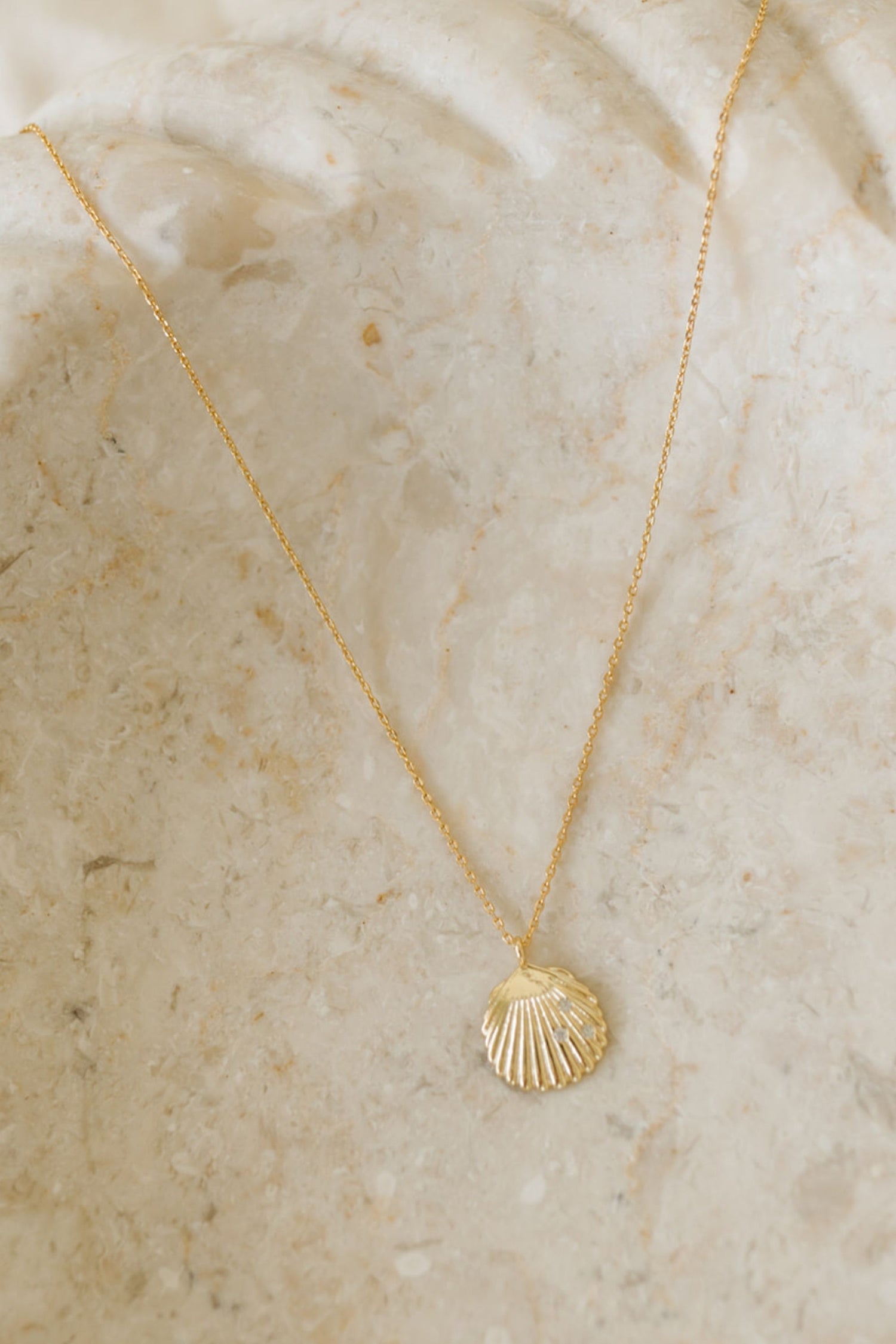 Seashell Charm Necklace